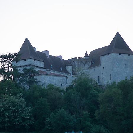 فيلا Chateau De Goudourville المظهر الخارجي الصورة