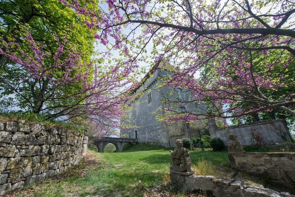 فيلا Chateau De Goudourville المظهر الخارجي الصورة