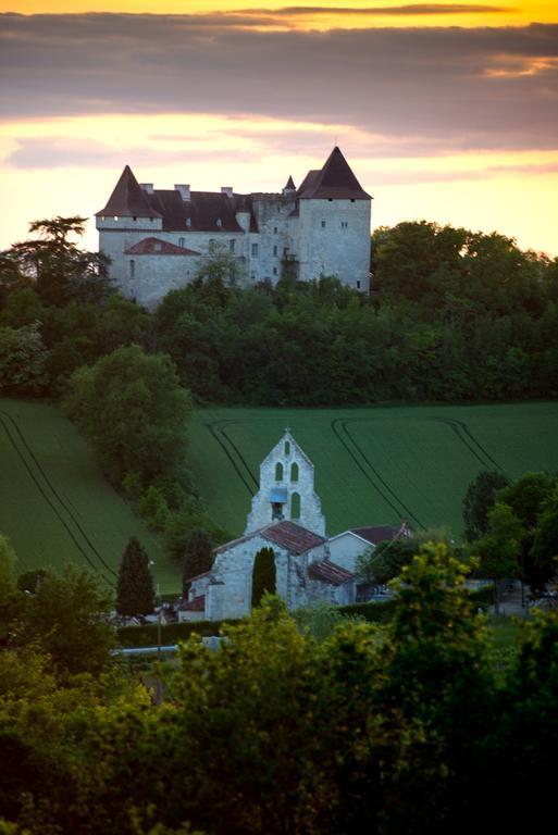 فيلا Chateau De Goudourville المظهر الخارجي الصورة