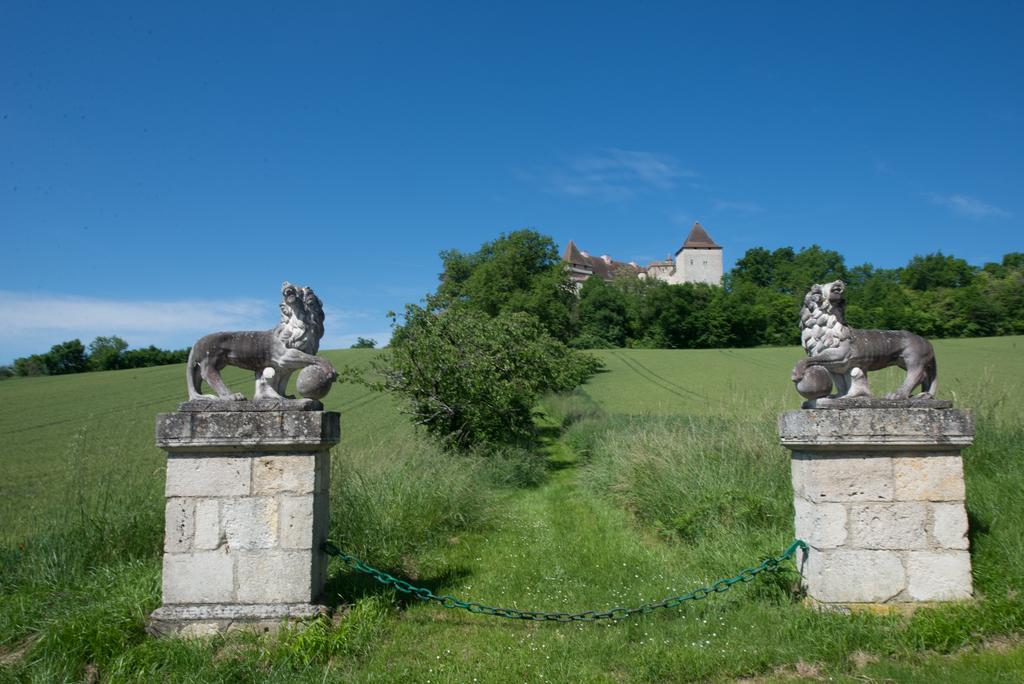 فيلا Chateau De Goudourville المظهر الخارجي الصورة